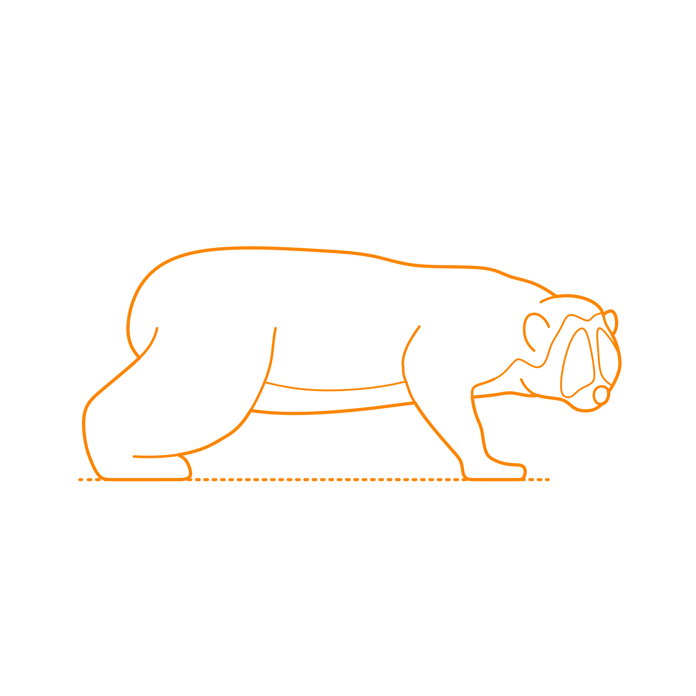 Animals Lemuriforms Pygmy Slow Loris Tracing Svg Vector Free Vectors